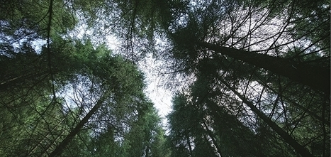 CVS, Levi Strauss, Nike Among Latest US Companies to Commit to Science-Based Emissions Targets | Sustainable Brands | Sustainable Procurement News | Scoop.it