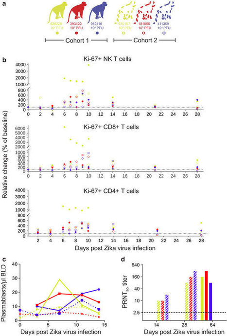 A rhesus macaque model of Asian-lineage Zika virus infection - Nature&nbsp; | Animal Models - GEG Tech top picks | Scoop.it