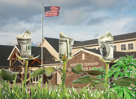 How's the Newtown Township Financial Garden Doing? | Newtown News of Interest | Scoop.it