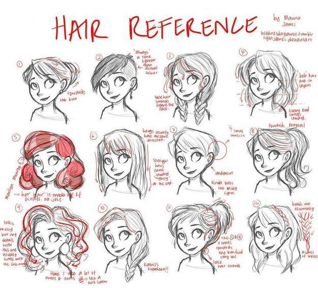  Hair  Drawing  Reference Guide  Drawing  Referenc 