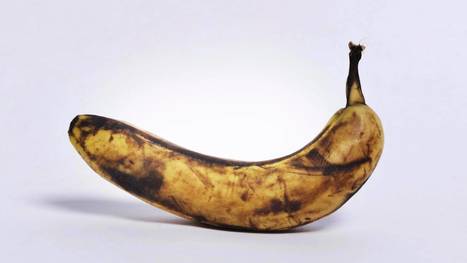 Jäähyväiset banaanille: Maailman suosituinta hedelmää uhkaa tuho - Sunnuntai | HS.fi | 1Uutiset - Lukemisen tähden | Scoop.it