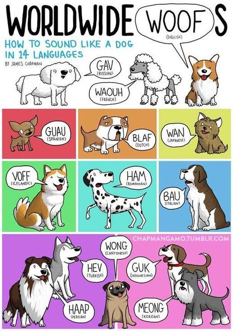 Les cris des animaux dans les autres langues | Sites pour le Français langue seconde | Scoop.it