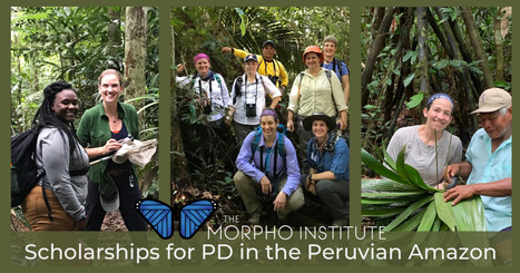 NOV. 1:&nbsp; Morpho Funding Applications Due!&nbsp; | RAINFOREST EXPLORER | Scoop.it