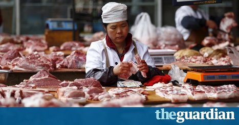 China's plan to cut meat consumption by 50% cheered by climate campaigners | Peer2Politics | Scoop.it