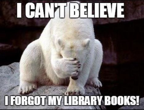 6th Grade Orientation--Meme Style! | Creativity in the School Library | Scoop.it