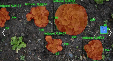 .@parq ::: REPENSAR las #RELACIONES de las #CIUDADES con la #NATURALEZA: #Agricultores_urbanos_rob&oacute;ticos. Escrito por&nbsp;#Alexandre_Dubor y #Cristian_Rizzuti, Traducido por&nbsp;#Piedad_Rojas. &ndash; | Le BONHEUR comme indice d'&eacute;panouissement social et &eacute;conomique. | Scoop.it