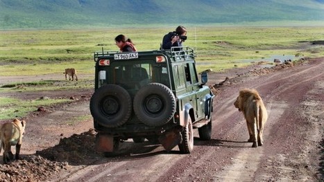 Fifteen mistakes to avoid on an African safari | Customer service in tourism | Scoop.it