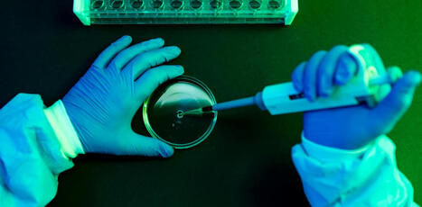Dans le monde, un&nbsp;cancer sur huit serait d&ucirc; &agrave; une infection, selon une nouvelle&nbsp;&eacute;tude | @ZeHub | Scoop.it