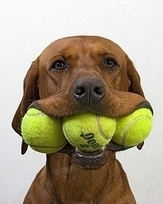 13 Things Overachievers Do - Forbes | Personal Motivation | Scoop.it