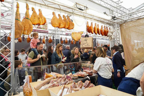 Économie dans les Pyrénées-Atlantiques : le jambon de Bayonne joue la carte du bien-être | BABinfo Pays Basque | Scoop.it
