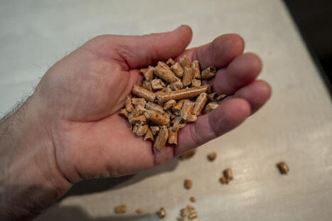 Le chauffage au bois est une source majeure de pollution, selon l&rsquo;Anses | Toxique, soyons vigilant ! | Scoop.it