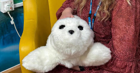 Fluffy robot seals are being used for mental health care at a UK hospital | AI for All | Scoop.it