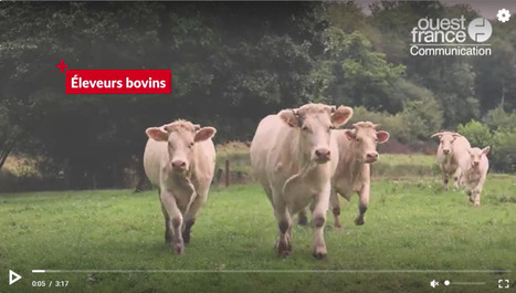 Réduire les émissions carbone dans les élevages bovins | Actualité Bétail | Scoop.it