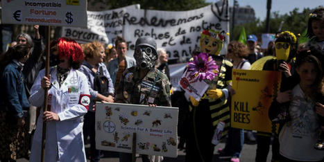L’Europe exporte des milliers de tonnes de pesticides « tueurs d’abeilles » pourtant interdits sur son sol - Le Monde Planète | Gestion Durable des Ressources | Scoop.it