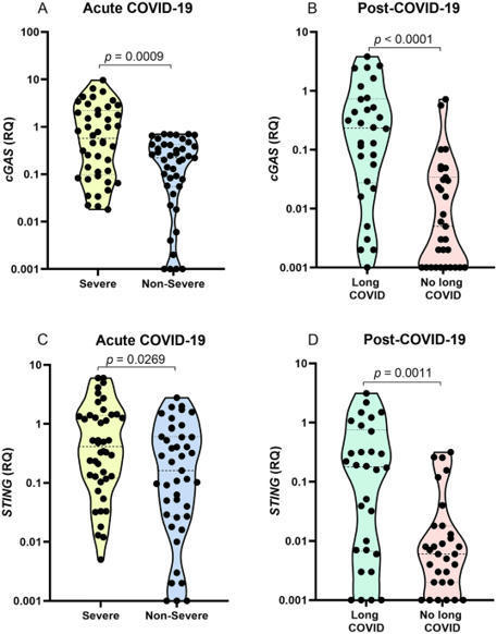 Severe COVID-19 and long COVID are associated with high expression of STING, cGAS and IFN-α | Scientific Reports | Immunology | Scoop.it