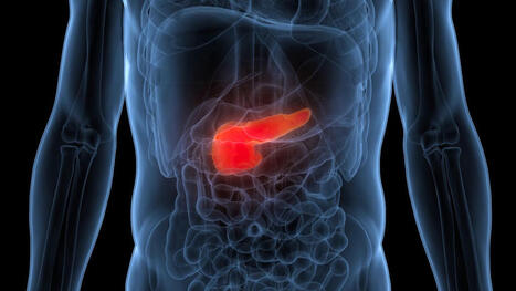 Studie legt nahe: Er gilt als t&ouml;dlichster Krebs &ndash; jetzt k&ouml;nnte eine Impfung helfen | 21st Century Innovative Technologies and Developments as also discoveries, curiosity ( insolite)... | Scoop.it