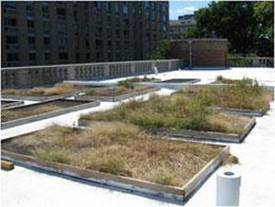 Les jardins suspendus de Manhattan : la prairie en centre-ville | Biodiversité - @ZEHUB on Twitter | Scoop.it