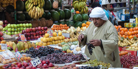 EGYPT Inflation Rate Hits Record-High of 39.7% in August | MED-Amin network | Scoop.it