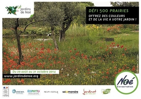 500 prairies pour la biodiversit&eacute; | Paysage - Agriculture | Scoop.it