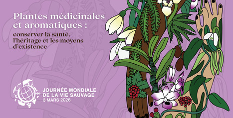 3 mars 2026 Journ&eacute;e mondiale de la vie sauvage | Nations Unies | Vari&eacute;t&eacute;s entomologiques | Scoop.it