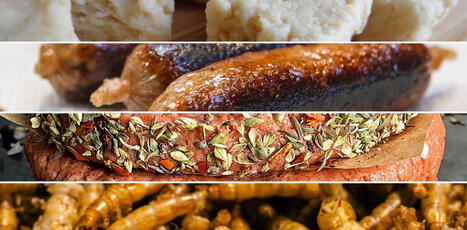 Remplacer la viande&nbsp;: toutes les alternatives se valent-elles&nbsp;? | Plan&egrave;te DDurable | Scoop.it