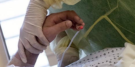 EN DIRECT - Coronavirus : plus de 100 cas positifs dans un abattoir breton | La Gazette des abattoirs | Scoop.it