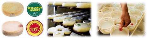 Le Reblochon AOP, le fromage onctueux de Savoie | Lait de Normandie... et d'ailleurs | Scoop.it