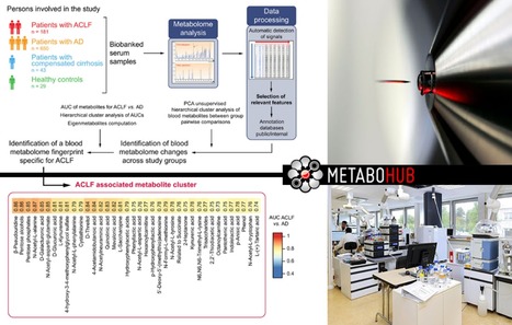 FOCUS PLATEFORME : MetaboHUB/Metabolome – IdF ou comment la métabolomique aide à l’identification de mécanismes physiopathologiques : exemple choisi dans le cadre de l’insuffisance hépatique chro... | Life Sciences Université Paris-Saclay | Scoop.it