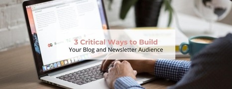 3 Critical Ways to Build Your Blog and Newsletter Audience | The Content Marketing Hat | Scoop.it