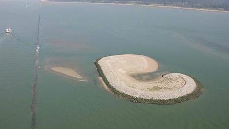 L'îlot artificiel de la Seine, refuge pour les oiseaux | Biodiversité | Scoop.it