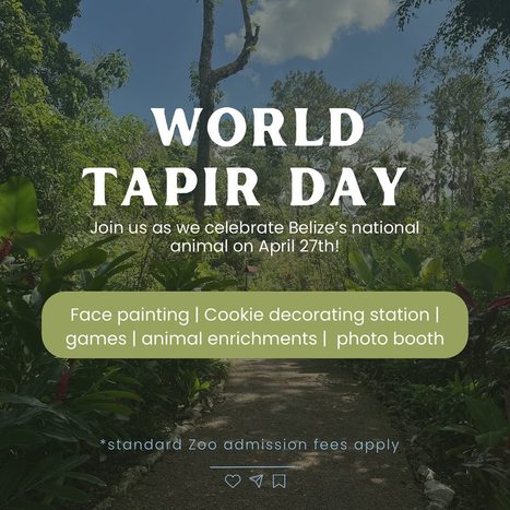 Tapir Day at the Belize Zoo 2024 | Cayo Scoop!  The Ecology of Cayo Culture | Scoop.it