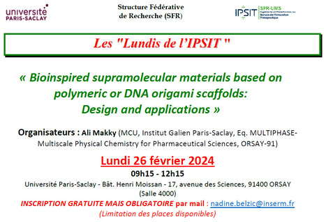 RAPPEL ! Les Lundis de l'IPSIT - Lundi 26 février 2024 : "Bioinspired supramolecular materials based on polymeric or DNA origami scaffolds: Design and applications" | Life Sciences Université Paris-Saclay | Scoop.it