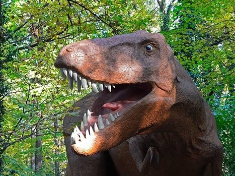 Tyrannosaurus Rex | kostenlose-Bilder | Scoop.it