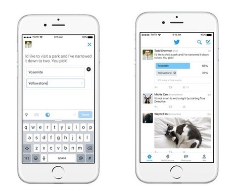 Les utilisateurs de Twitter vont pouvoir sonder leur followers grâce au nouveau module «Questions» - Offremedia | Social Marketing | Scoop.it