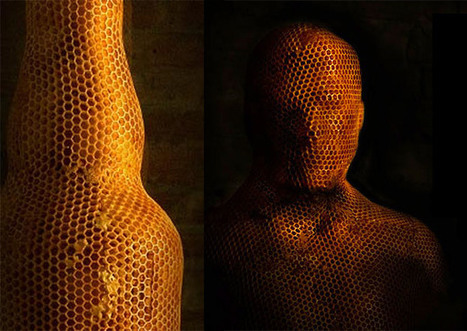 Impression : de la 3D à la 3B | Korben | Veille sur les technologies d'impression 3D | Scoop.it