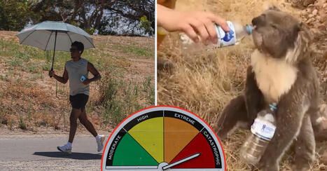 Extremv&auml;rme har blivit fem g&aring;nger vanligare i Australien &bull; Upp&aring;t 48 grader v&auml;ntar i resten av januari | 1Uutiset - Lukemisen t&auml;hden | Scoop.it