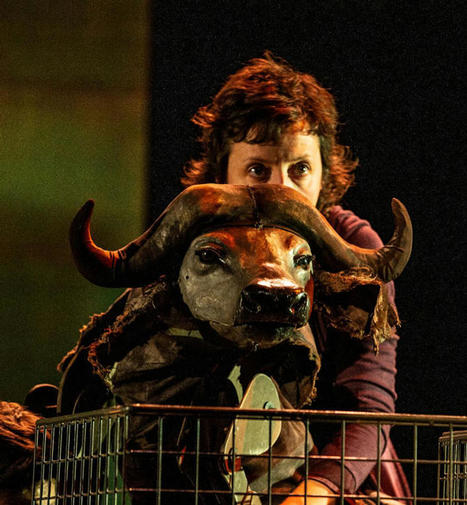 L'animal, cet homme   - à propos de "Buffles" de Pau Miró, mise en scène Emilie Flacher  | Revue de presse théâtre | Scoop.it