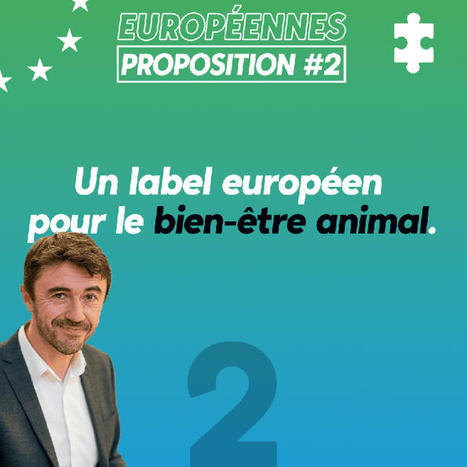 Créer un label européen pour le bien-être animal | Re Re Cap | Scoop.it