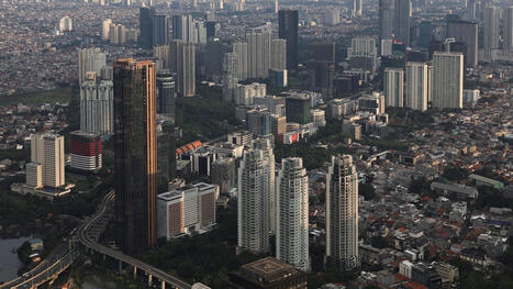 What's the world's largest city? 2025 UN report has a big update. | Education in a Multicultural Society | Scoop.it