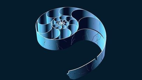 Tackling bias in artificial intelligence (and in humans) | McKinsey | Chief People Officers | Scoop.it