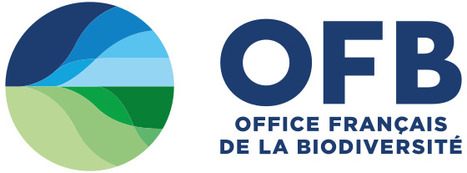 Retour d'expérience - Le village des 4000 arbres, lutte contre les îlots de chaleur urbains et favoriser l'Infiltration de l'eau (Val-de-Marne) | ESPACES VEGETALISES URBAINS | Scoop.it