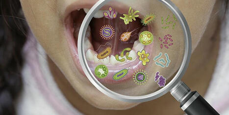 #oralhealth #microbiome #functionalmedicine #chronicdiseaseprevention… | Anne Goossens | Mucosal Immunity | Scoop.it