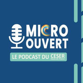 Le seminaire de "CESER de France" : d&eacute;mocratie participative et intelligence collective | Territoires, transitions et innovations | Scoop.it