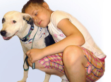 Healing Species Program - Compassion Education Curriculum Program | Empathy and Education | Scoop.it