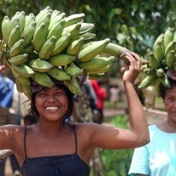 OPINION: Invest in Young People to Harness Africa's Demographic Dividend - Inter Press Service | Africa's Development, Trade, Finance | Scoop.it