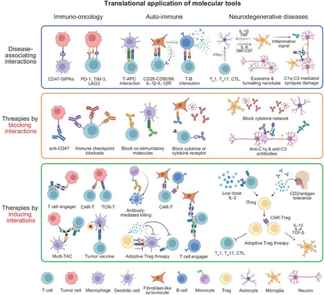 Molecular tools for decoding multicellular systems: from mechanisms to medicine | nsr | RMH | Scoop.it