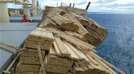 Timber cargo falls after vessel tilts in Russia...
