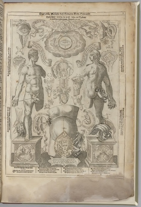 L'anatomie pop-up du XVII&egrave;me si&egrave;cle - Strange Stuff And Funky Things | Caf&eacute; des Sciences | Scoop.it