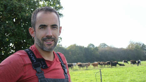 TÉMOIGNAGE. Pourquoi ils ont choisi de ne traire leurs vaches qu’une seule fois par jour | Actualités de l'élevage | Scoop.it