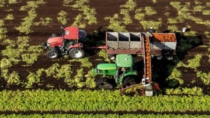 Canada has lost millions of hectares of farmland. Where is it all going? | Real Estate Report | Scoop.it
